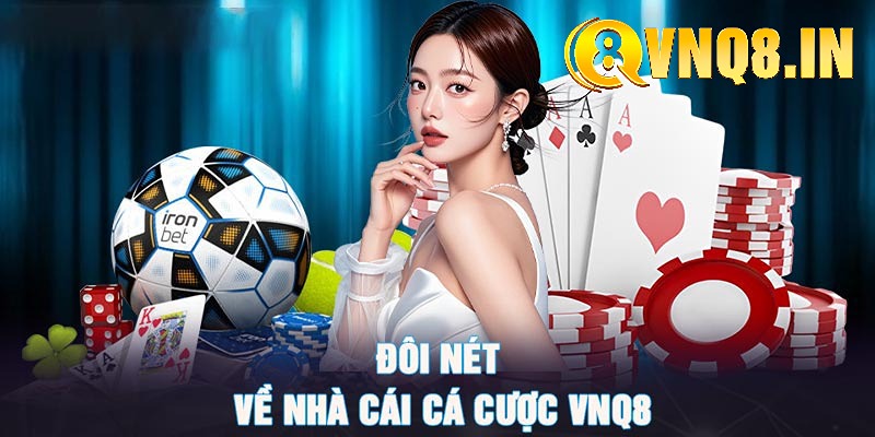 Giới thiệu thông tin cơ bản về chuyên mục HƯỚNG DẪN tại VNQ8